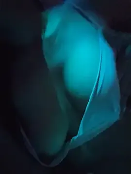 Gat_ita18