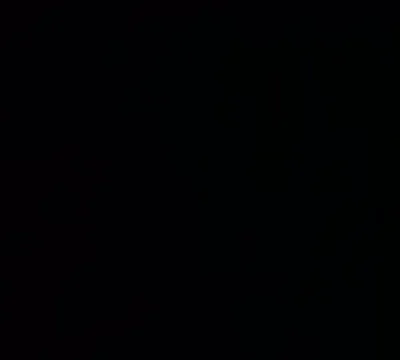Ninibella