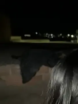 the_queen_of_street