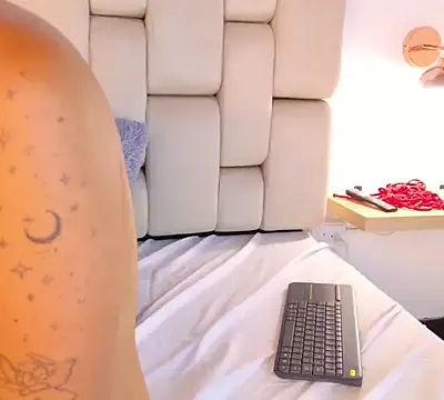 Katt_wild